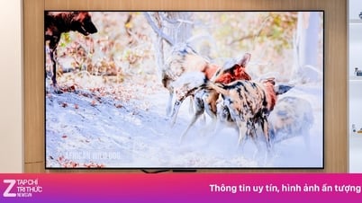 Xu hướng mới của các hãng gia dụng
