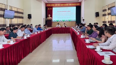 Tọa đàm khoa học “Thành phố Hải Phòng phát huy thành tựu 70 năm xây dựng và trưởng thành, vững bước vào kỷ nguyên mới-kỷ nguyên vươn mình của dân tộc”