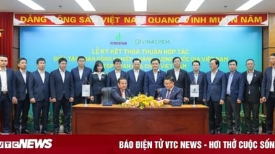 Petrovietnam, pionnier dans la promotion de la coopération et l'amélioration de la compétitivité nationale