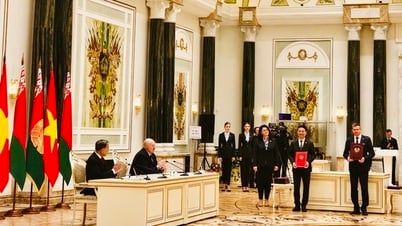 Science, technology, innovation and digital transformation will be important pillars in Vietnam - Belarus cooperation