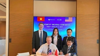 Un fonds d'investissement américain s'engage à « injecter » 80 millions de dollars dans le groupe Meey
