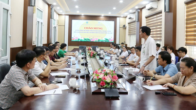 Bệnh viện Tai Mũi Họng Trung ương hỗ trợ chuyên môn cho Bệnh viện Đa khoa tỉnh