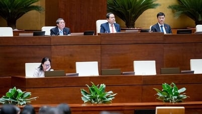 투명성 및 감독 강화: 효과적인 국가 자본 관리 보장