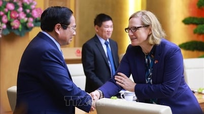 Prime Minister Pham Minh Chinh meets with US businesses
