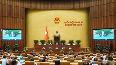 透明性と実効性を備えた法的枠組みに向けた国家資本管理の革新