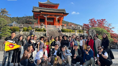 Tour Nhật Bản của Saigontimes Travel – Trọn vẹn tinh hoa xứ Phù Tang