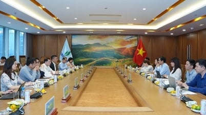 Petrovietnam: Tiên phong trong liên kết doanh nghiệp nhà nước và doanh nghiệp tư nhân