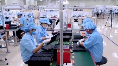Ninh Binh: From new rural area to supporting industrial center - Strategic transformation of a heritage land