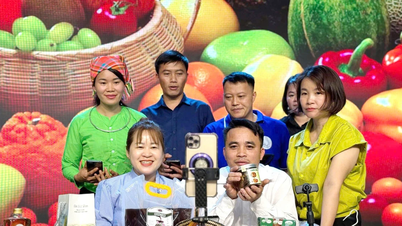 Tập huấn nâng cao kỹ năng kinh doanh trên nền tảng số cho hội viên nông dân