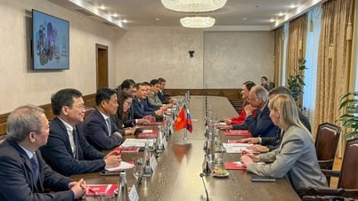 Russian Presidential Academy will help Vietnam train 100 officials