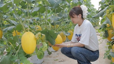 ハイテクの応用：生産性の向上、優れた製品品質
