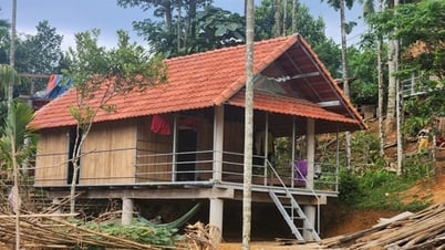 Quảng Ngãi tăng tốc về đích xóa nhà tạm, nhà dột nát
