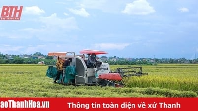 ティエウホア地区における農業生産の機械化と科学技術の応用