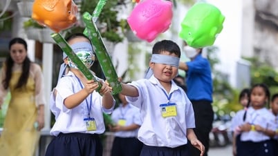 Admissions à l'école primaire dans le district de Phu Nhuan, Ho Chi Minh-Ville : quelles écoles enseignent l'anglais intensif et intégré ?