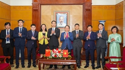 Le secrétaire du Comité municipal du Parti a reçu l'ambassadeur extraordinaire et plénipotentiaire de la République populaire de Chine au Vietnam