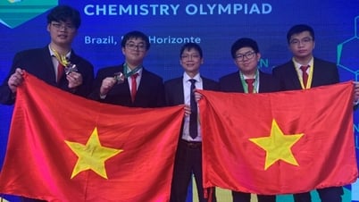 Vietnamese students won 4 medals at the 2025 Mendeleev International Chemistry Olympiad