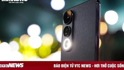 Téléphone Vivo V50 Lite : un « monstre » de batterie au look tendance