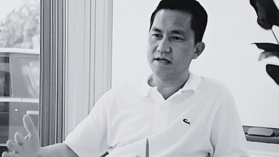 บริษัท Nanogen ในสมัยของนายโฮหนาน เคยมีมูลค่าถึง 5,100 พันล้านดอง