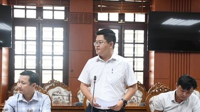 Removing difficulties for businesses, Quang Nam seeks ways to collect land use debt
