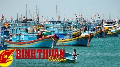 Hàm Tân: Để không còn tàu cá vi phạm vùng biển nước ngoài