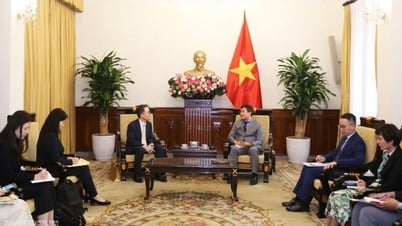 Việt Nam mong muốn đồng hành cùng Hàn Quốc trong kỷ nguyên vươn mình của dân tộc