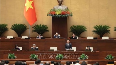 14 мая Национальное собрание обсудило проект закона об организации местного самоуправления.