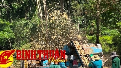ធានាអត្ថប្រយោជន៍ក្រីក្រពីគោលនយោបាយគាំទ្រ