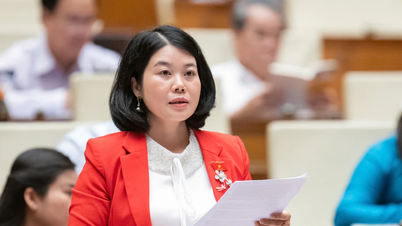 Đại biểu Nguyễn Thị Huế đề nghị cụ thể hóa chuyển đổi số trong dự thảo Luật Khoa học, công nghệ và đổi mới sáng tạo