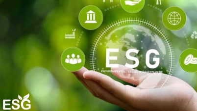 Les entreprises doivent considérer l’ESG comme une « boussole » et non comme une destination.