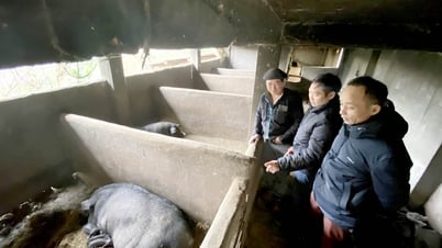 Na Khê tập trung nâng cao thu nhập cho người dân