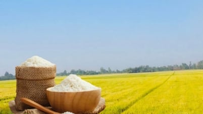 Rice price today, May 14: Mixed fluctuations