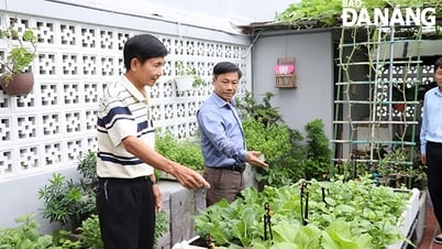 Agricultural extension accompanies farmers in economic development