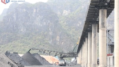 TKV: Ensuring safe and effective coal supply