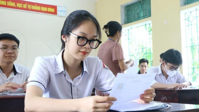 Avec un certificat IELTS de 8,0, le premier lauréat de l'examen provincial d'excellence des étudiants pleure toujours à cause de la peur d'échouer à l'examen d'entrée à l'université : que conseillent les experts ?