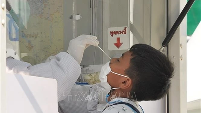 Gesundheitsministerium informiert über Subvariante XBB.1.16 und die aktuelle COVID-19-Epidemie in Vietnam
