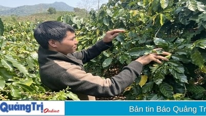 ហូ ម៉ា ខំ​គេច​ពី​ភាព​ក្រីក្រ