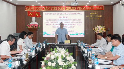 Giải pháp phát triển tổ chức đảng và đảng viên ở các doanh nghiệp ngoài nhà nước ở Lào Cai
