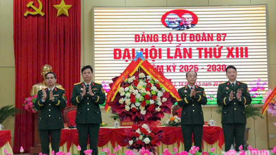Đại hội Đảng bộ Lữ đoàn 87 lần thứ XIII, nhiệm kỳ 2025 - 2030 thành công tốt đẹp