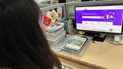 호치민시 115개 고등학교 10학년 경쟁률