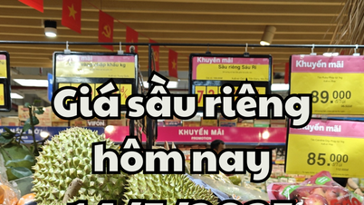 Durian price today May 14, 2025: Export situation is difficult