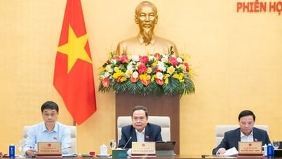 Ngày 17-5, Quốc hội thông qua nghị quyết về cơ chế, chính sách đặc biệt phát triển kinh tế tư nhân