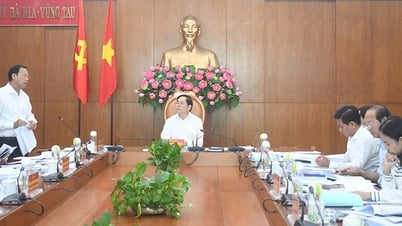 Nghiên cứu đề án khu thương mại tự do gắn với cảng biển Cái Mép Hạ