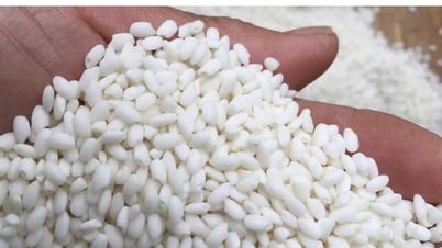 Nếp cái hoa vàng Thụy Lâm - sản phẩm OCOP của Đông Anh