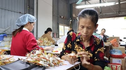 โอกาสการทำงานสำหรับผู้สูงอายุ