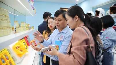 Tăng cường bảo vệ thương hiệu Yến sào Khánh Hòa
