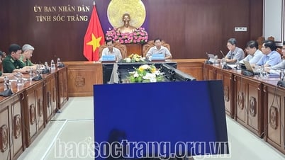 Выбор оптимального решения для развертывания ветроэнергетики