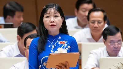 ผู้แทนสภานิติบัญญัติแห่งชาติจังหวัดอานซางร่วมสนับสนุนกฎหมายว่าด้วยการจัดระเบียบการปกครองส่วนท้องถิ่น