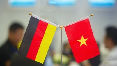 Trao đổi thương mại giữa Việt Nam và Đức tăng trưởng tốt trong những tháng đầu năm 2025