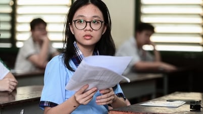 Top 20 Schulen mit dem höchsten Wettbewerbsverhältnis in der 10. Klasse in Ho-Chi-Minh-Stadt, das höchste liegt bei 1 zu 4,88