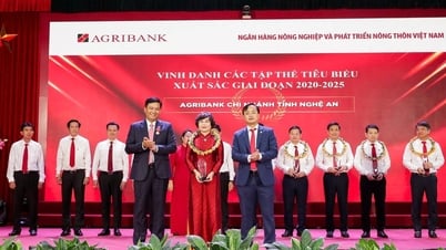 La sucursal provincial de Agribank Nghe An fue distinguida en el trabajo de emulación durante el período 2020-2025